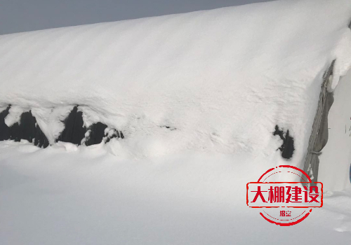 大雪对温室大棚影响危害怎么处理